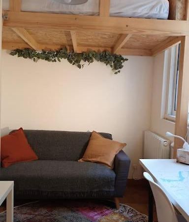 Ferienwohnung Petit Mignon - Hypercentre Toulouse Exterior foto
